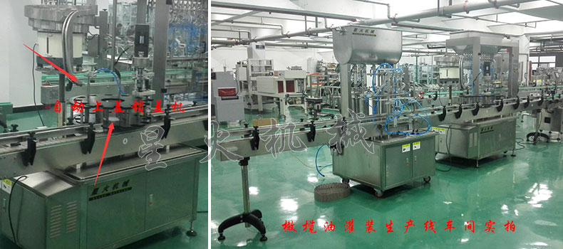 ȫ�Ԅ��ϙ��͹��b���a��-�ϙ����Ԅӹ��b�i�w�N�����a��