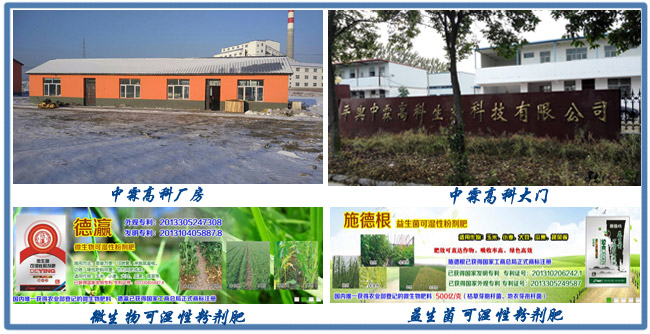 �~��ʰ��b�C�͑����S